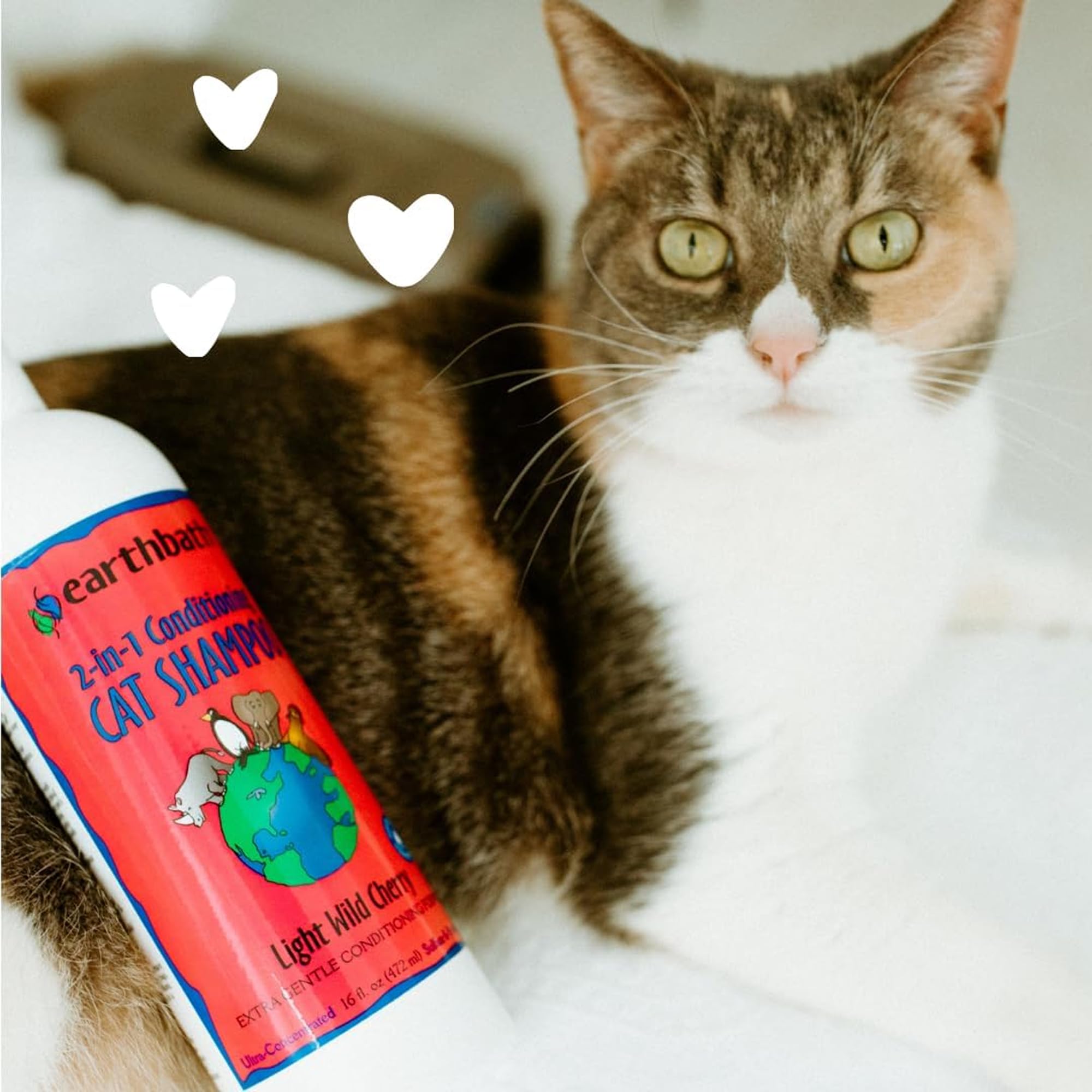 earthbath made-in-usa cat shampoo bottle on countertop