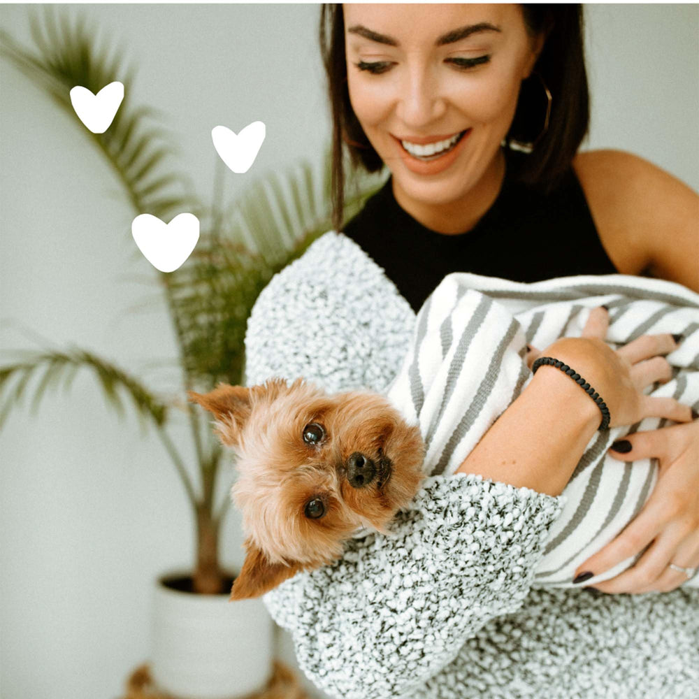 earthbath Paw Wash plant-based-ingredients avocado-shea-aloe deliver nourishing care