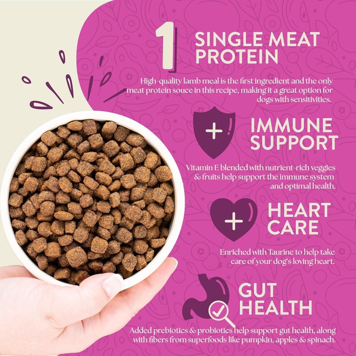 Earthborn Holistic Meadow Feast grain-free formula for dogs with sensitivities.