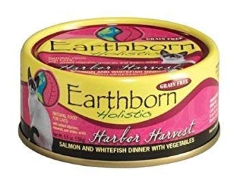 Earthborn Holistic two-flavors lineup image emphasizes variety and balance.