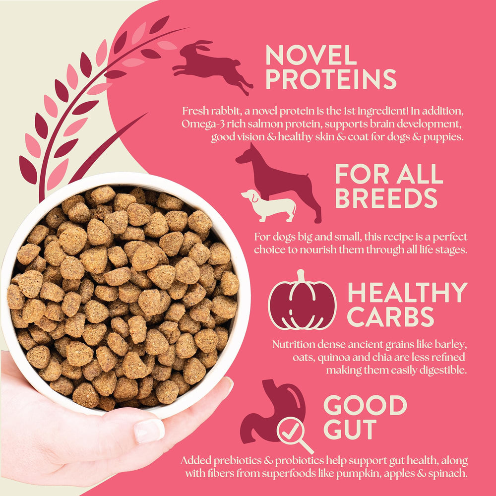 Earthborn Holistic Unrefined Roasted Rabbit kibble closeup reveals texture with ancient grains for digestion