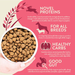 Earthborn Holistic Unrefined Roasted Rabbit kibble closeup reveals texture with ancient grains for digestion