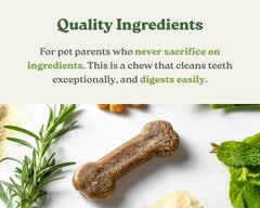 earthbones small-dog chew in mouth demonstrates texture for chewing.
