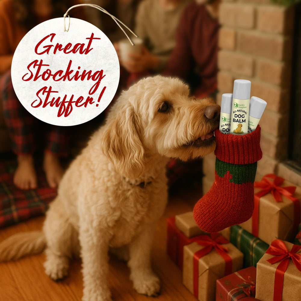 Earth’s Daughter balm applied on paw for dry, cracked paw relief.