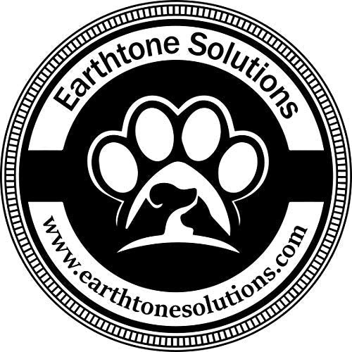 Earthtone Solutions cat toy in use—kitten exploring rainbow wand with engaging movement