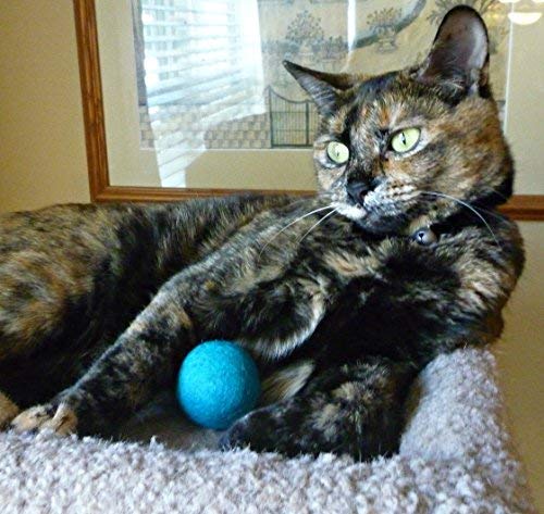 Earthtone Solutions purple ball with a kitten in play for indoor fun