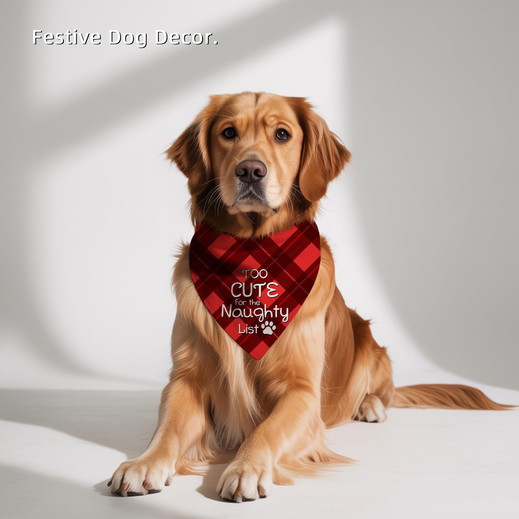 Earus machine-washable bandana supports easy cold-water care.