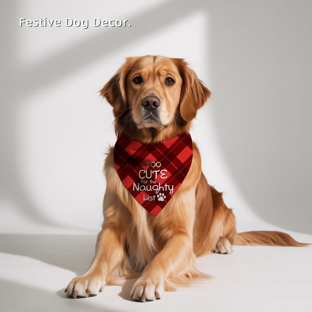 Earus machine-washable bandana supports easy cold-water care.