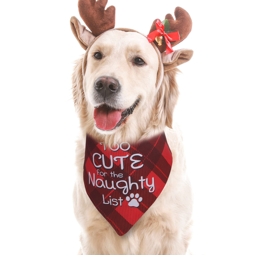 Earus two-pack Christmas bandanas provide quick styling options for holiday photos.