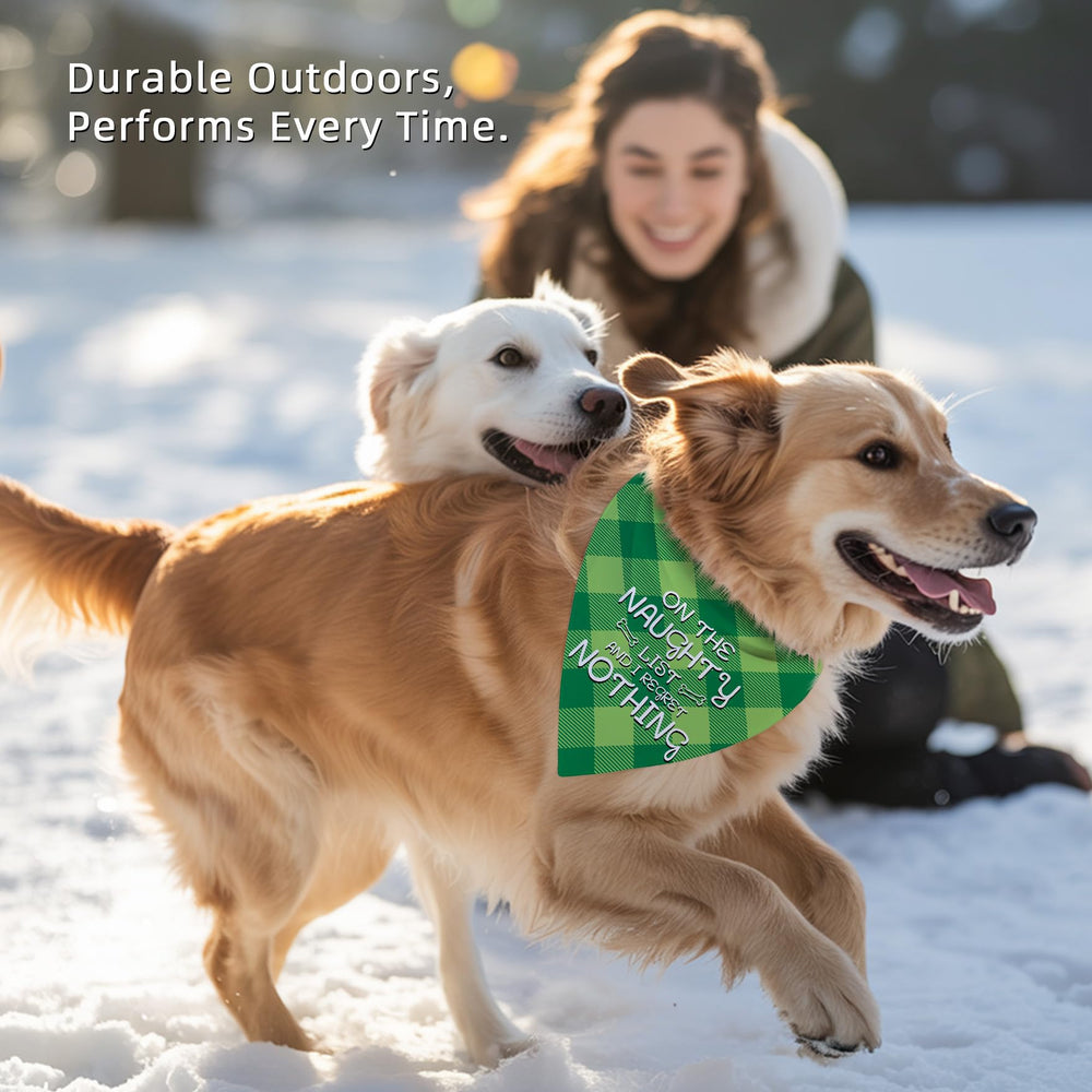 Earus two-piece set enhances pet decor and gifting options.