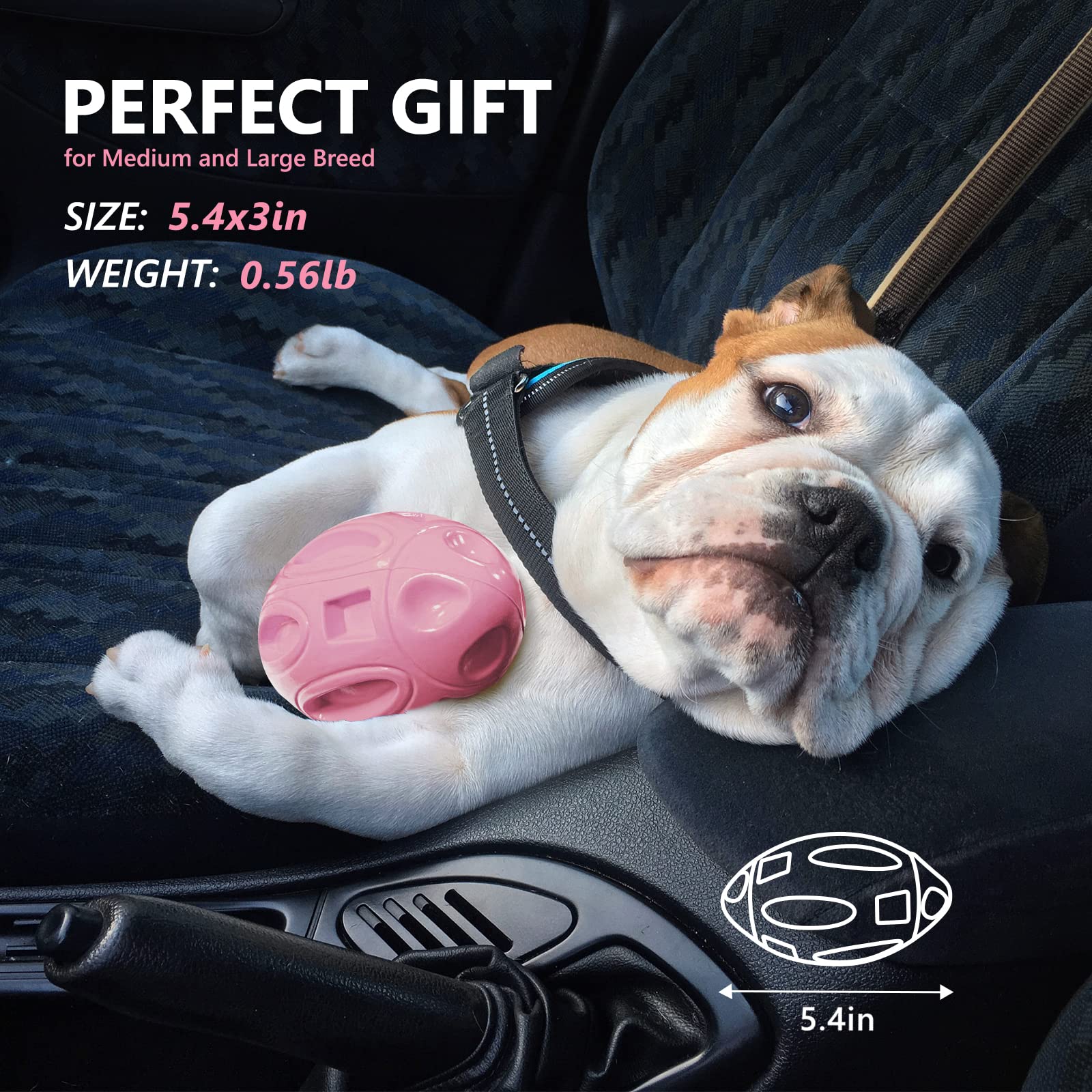 EastBLUE playtime interaction with squeaky toy boosts bonding.