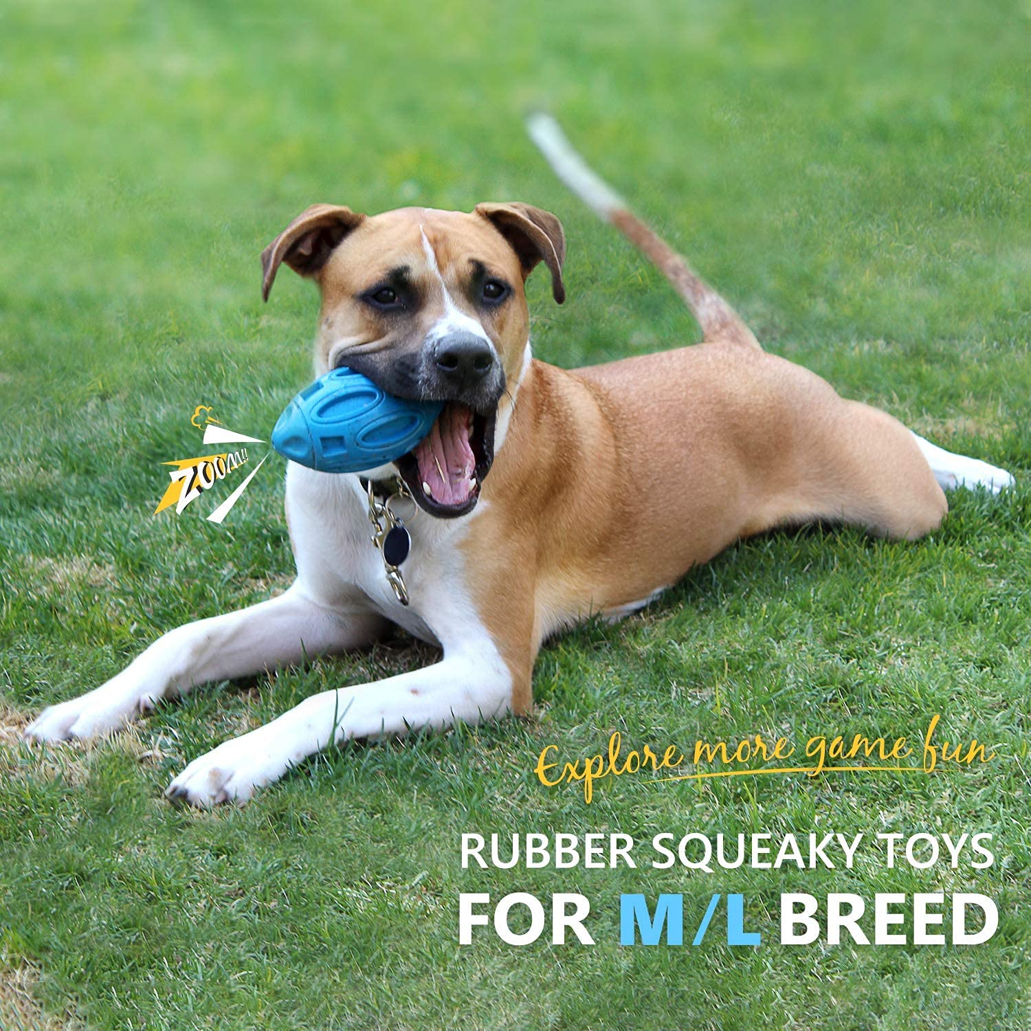 EASTBLUE squeaky dog toy ball in action, encourages play and exercise