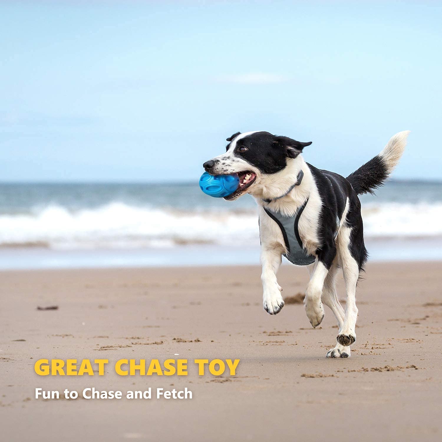 EASTBLUE squeaky dog toy ball outdoors play to release energy