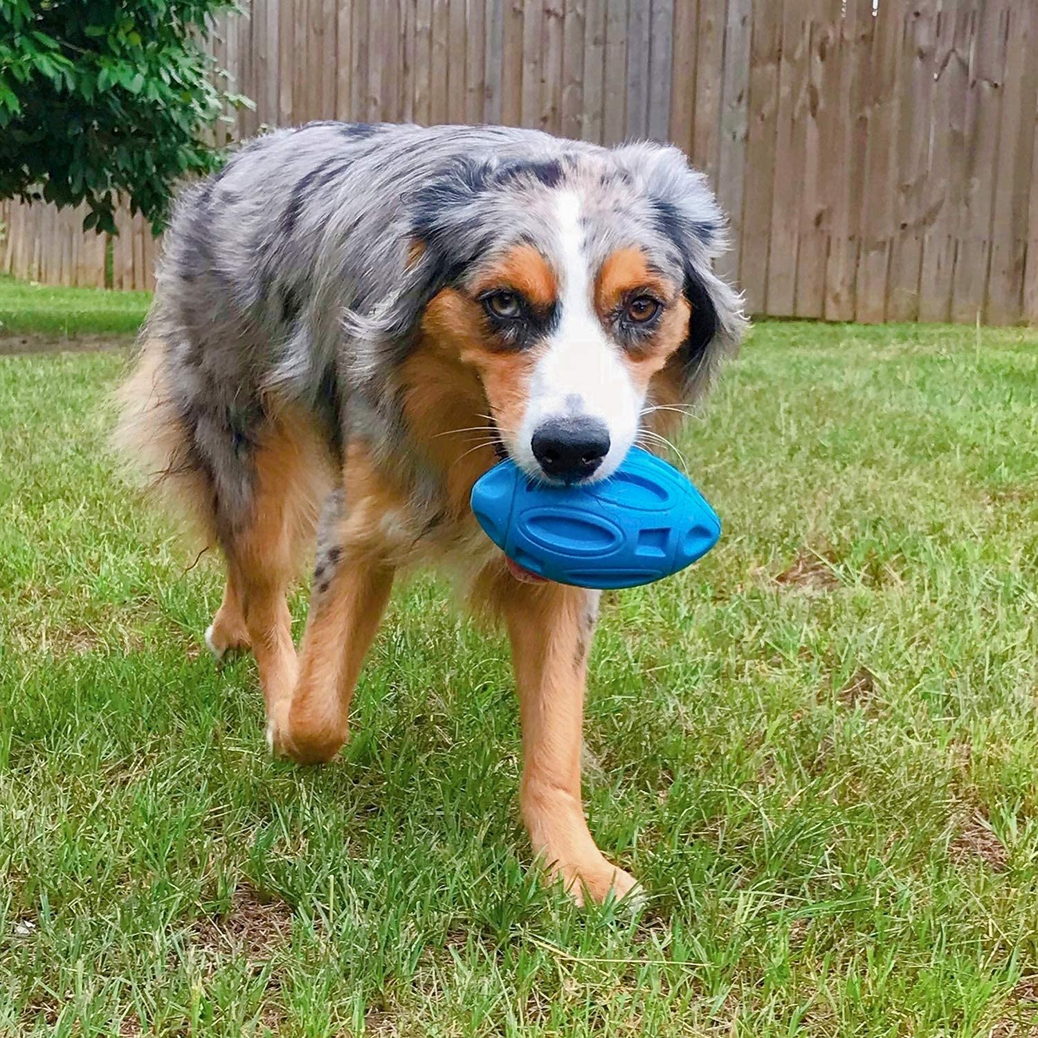 EASTBLUE squeaky dog toy ball size fits medium and large breeds