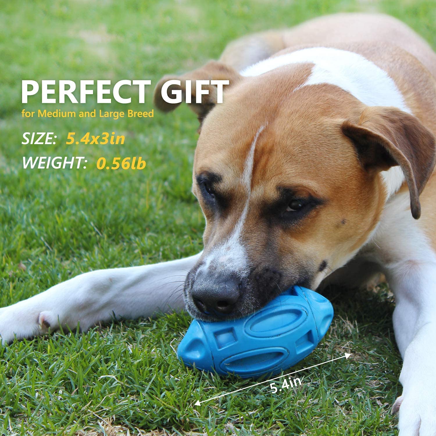 EASTBLUE squeaky dog toy ball squeaker detail highlights sound