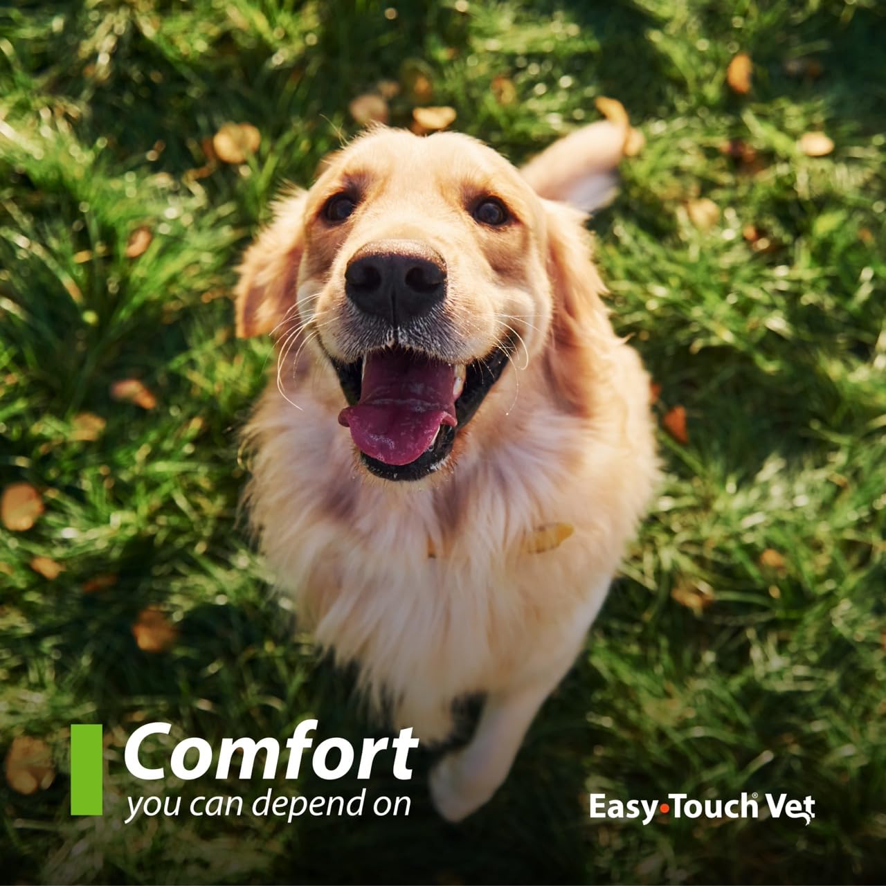 Easy Touch Pet U-40 syringe is BPA-free and medical-grade for safe injections
