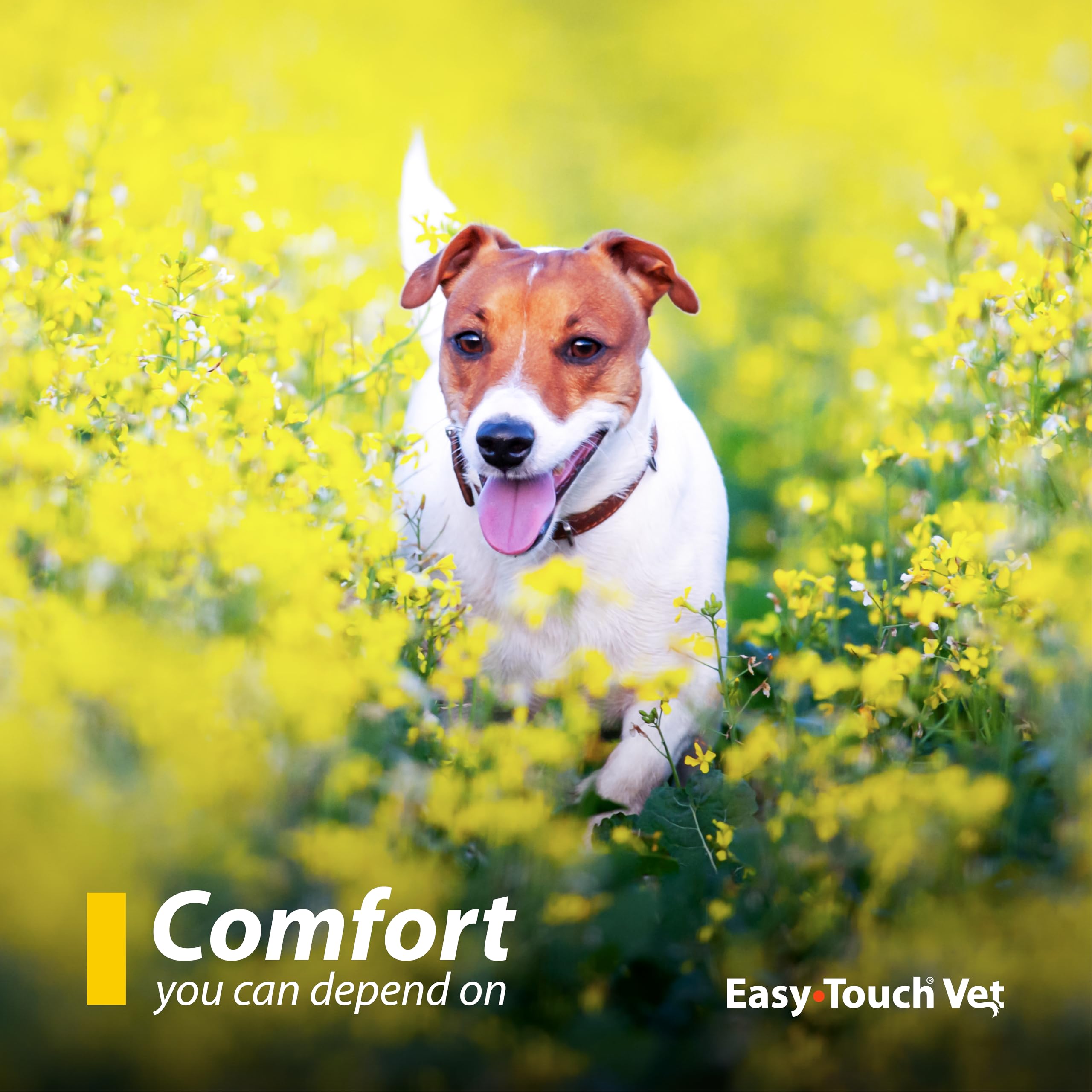 Easy Touch Pet U-40 silicone-coated needle designed for smoother injections.