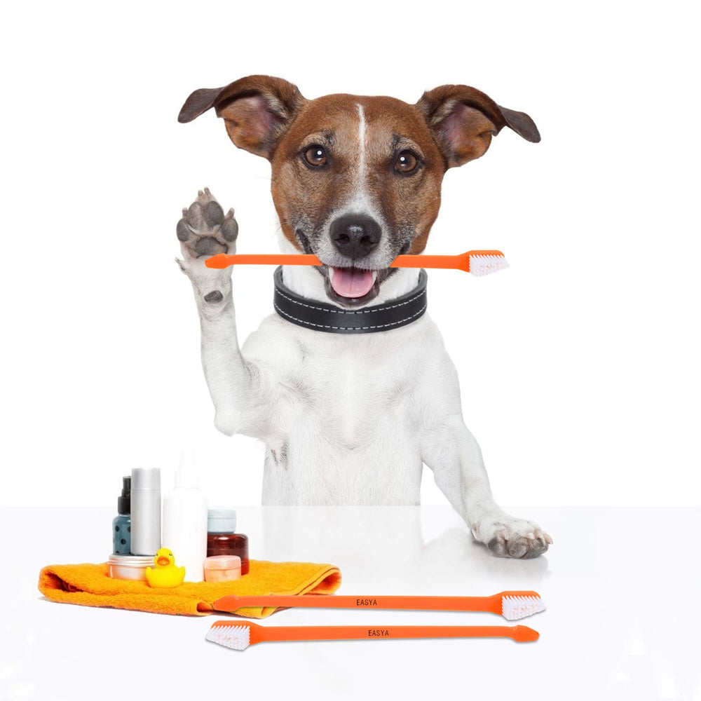 EASYA 10-pack small dog toothbrushes offers value and routine brushing