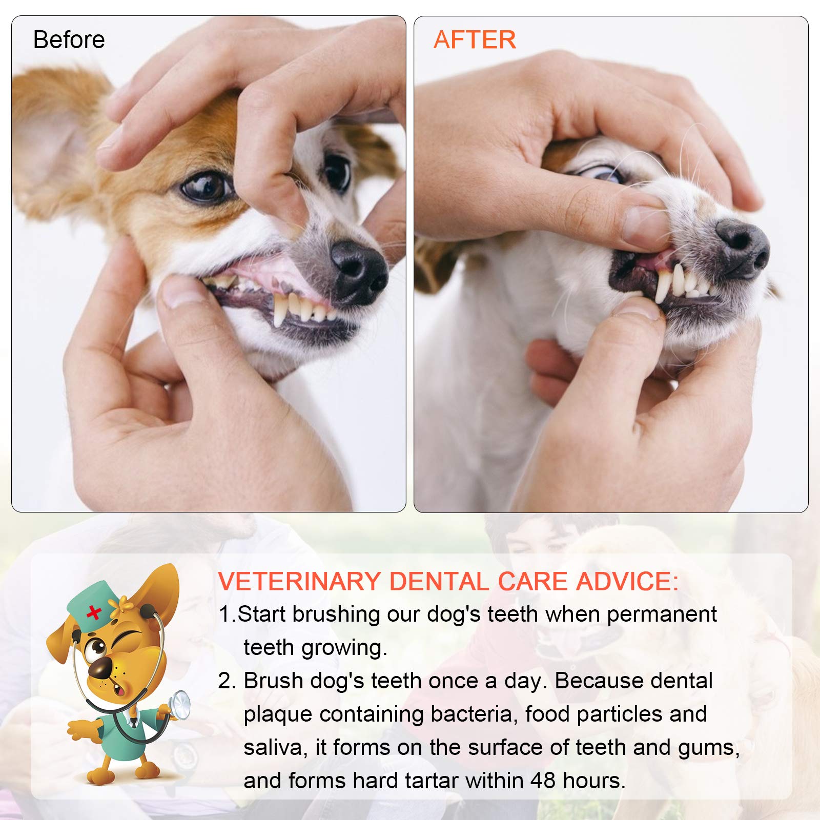EASYA toothbrush with dog toothpaste for comfortable brushing sessions