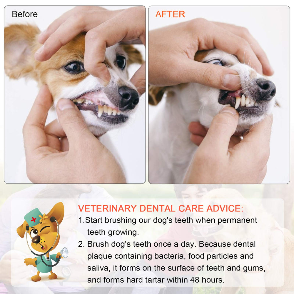 EASYA toothbrush with dog toothpaste for comfortable brushing sessions