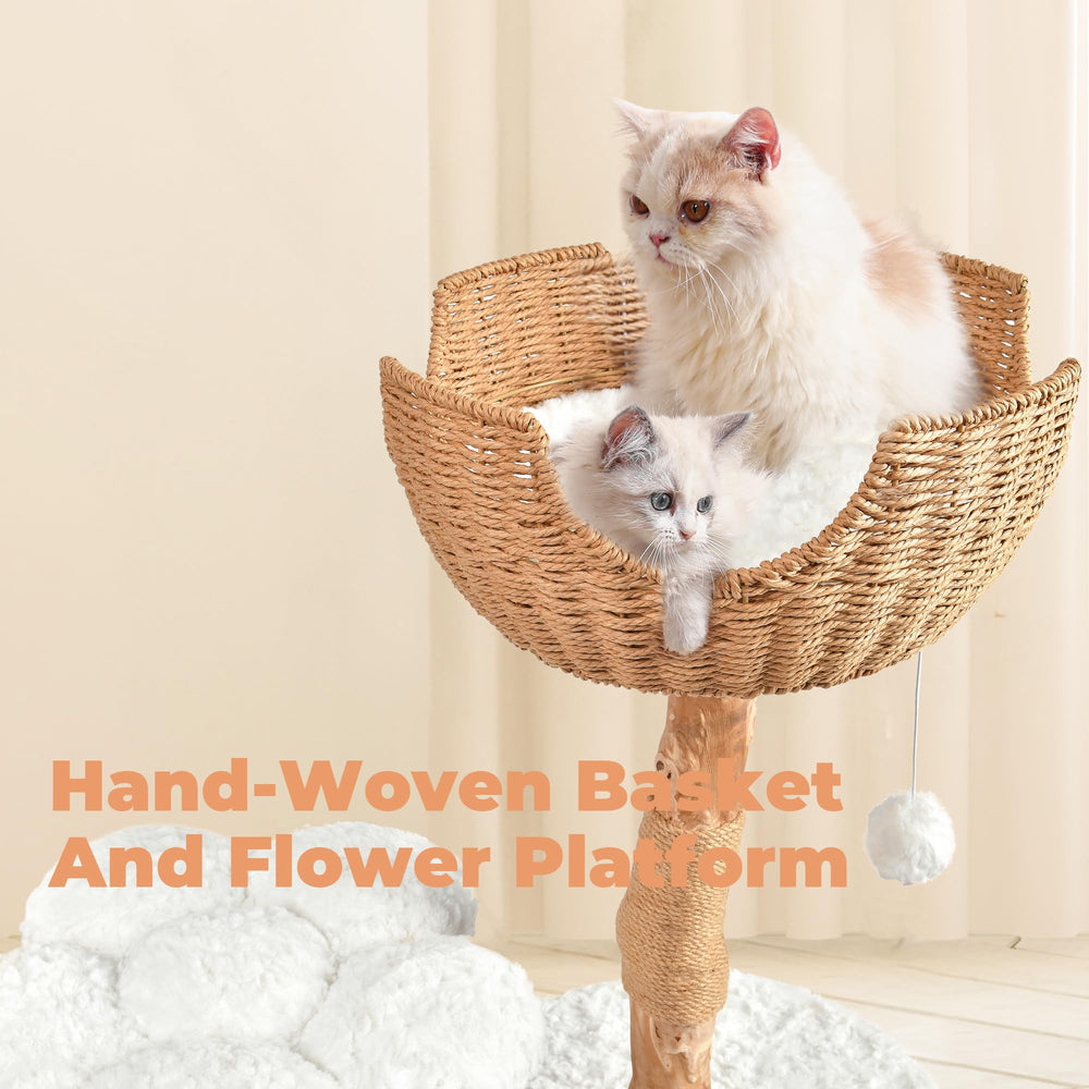 Easyego cat condo interior offers a cozy retreat for naps and play.