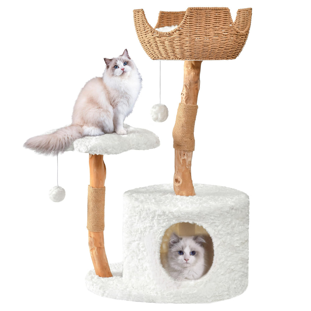 Easyego modern cat tree assembly shows sturdy pear wood for lasting use.