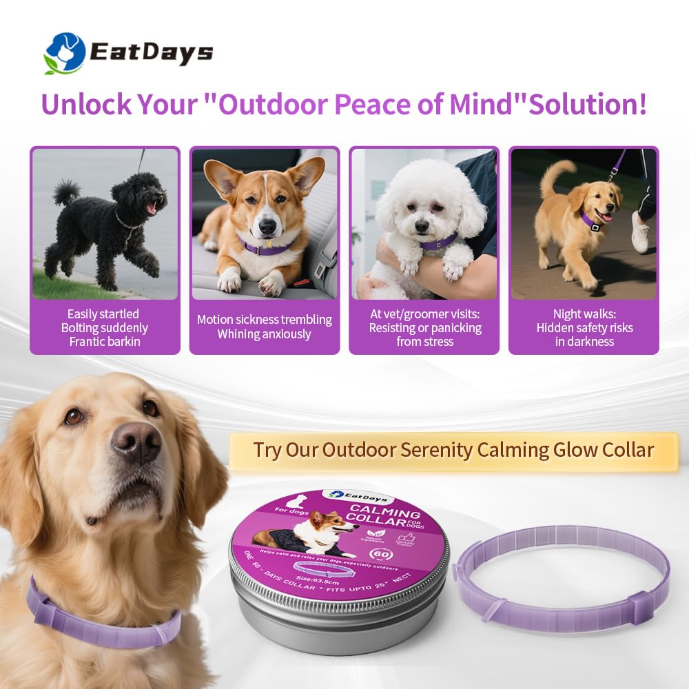 EatDays calming collar worn by dog during travel scene for stress relief.