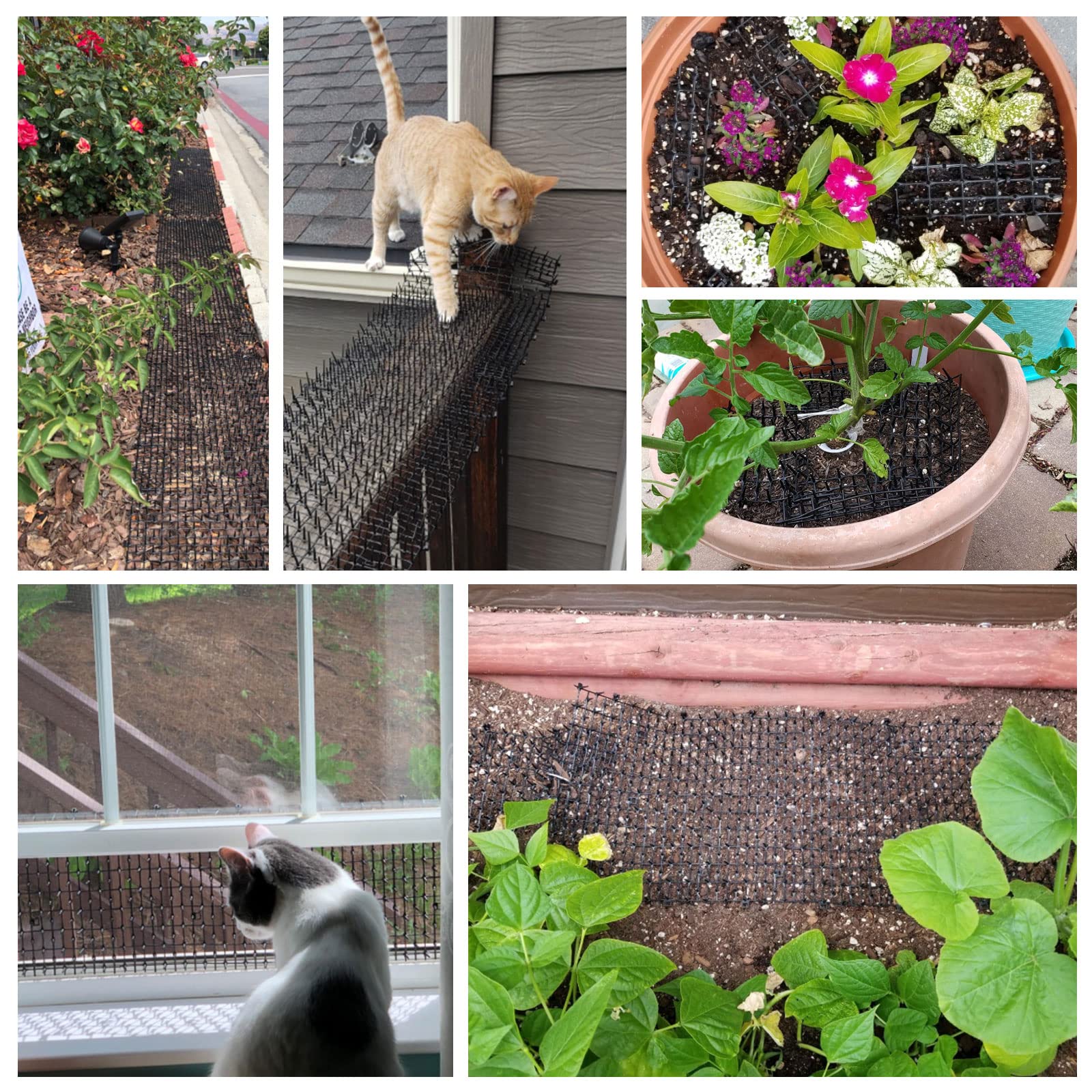 EATHEATY cat spike mat in garden bed deters digging while staying pet-friendly