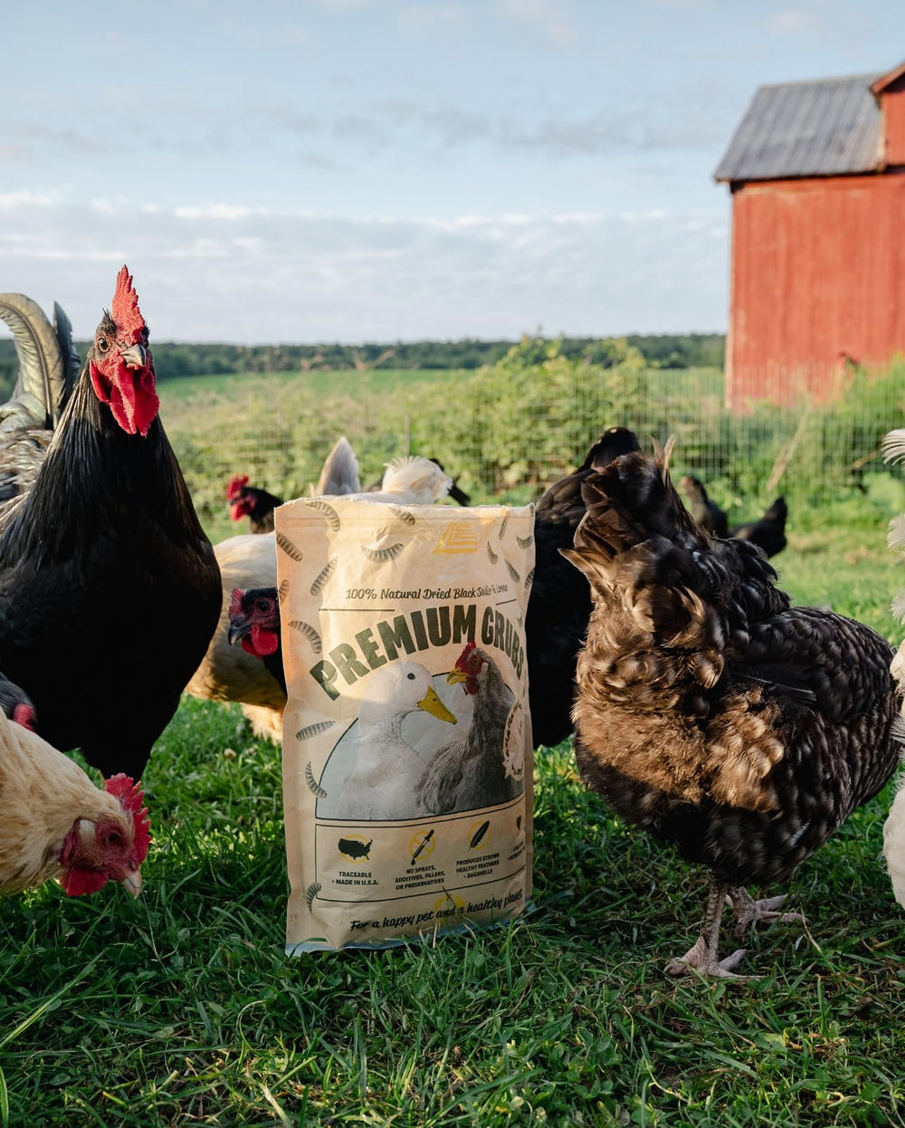 Eaton Pet and Pasture grubs grown on pre-consumer waste reduce waste.