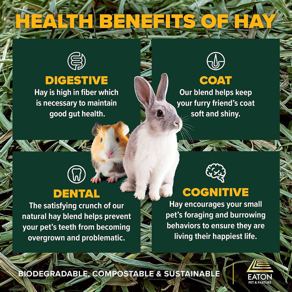 Eaton Pet and Pasture foraging behavior enrichment encourages natural exploration.
