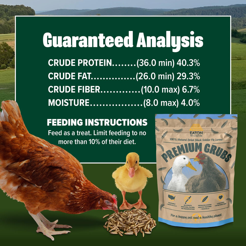 Eaton Pet and Pasture grubs chickens foraging scene illustrating natural foraging benefits