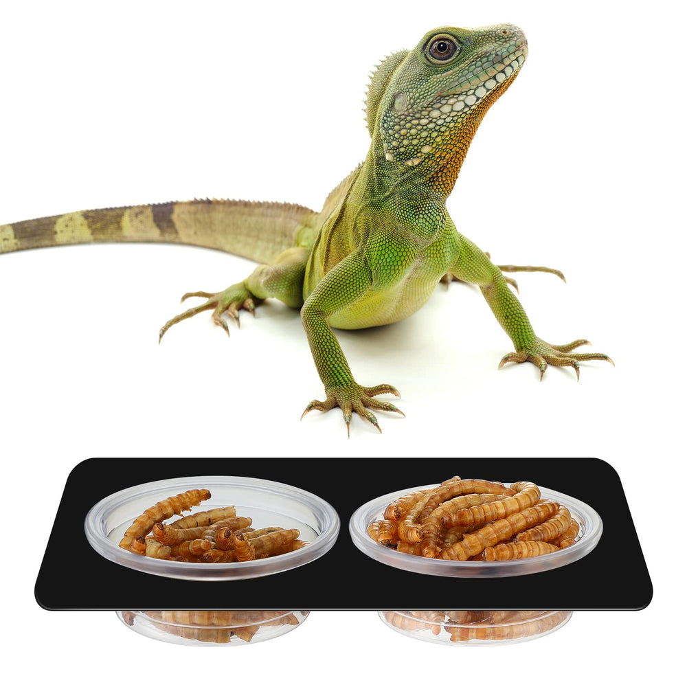 Conjunto EBOOT de 500 tazas para reptiles pequeños.