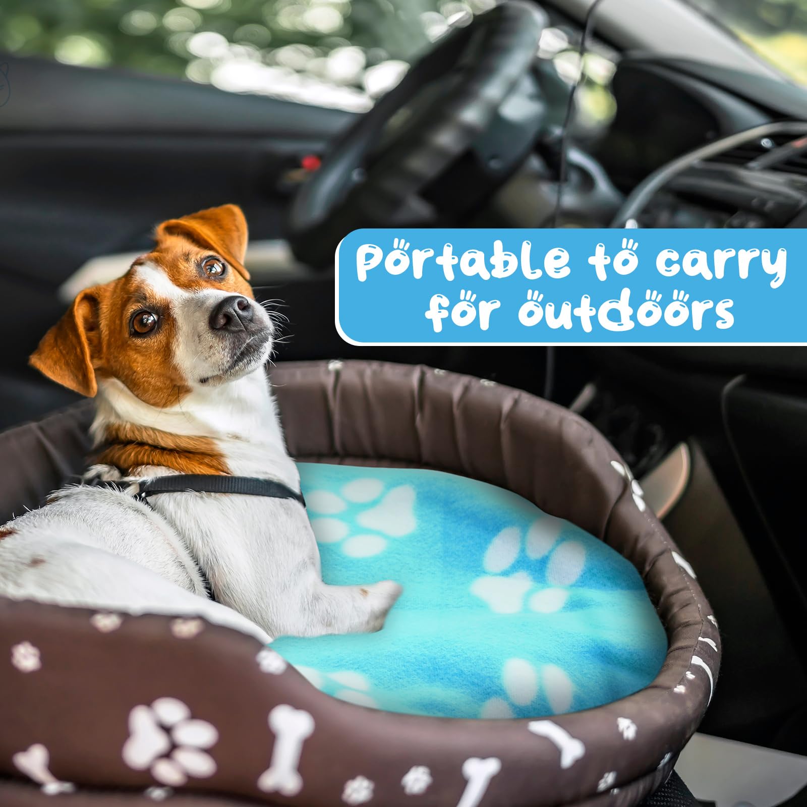 Eccliy blanket suitable for dogs and cats during naps.