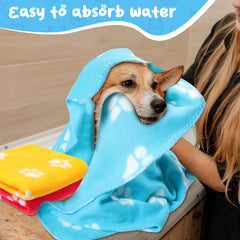 Eccliy puppy blanket is machine washable for easy cleanup after messes.
