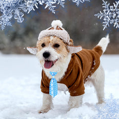 Eccliy winter dog bows with reindeer pattern for seasonal outfits.