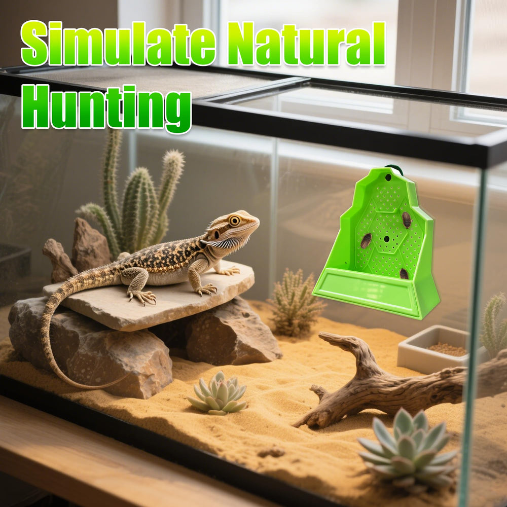 Eckpo bright-green feeding box adds visual cue and hunting enrichment in terrariums.