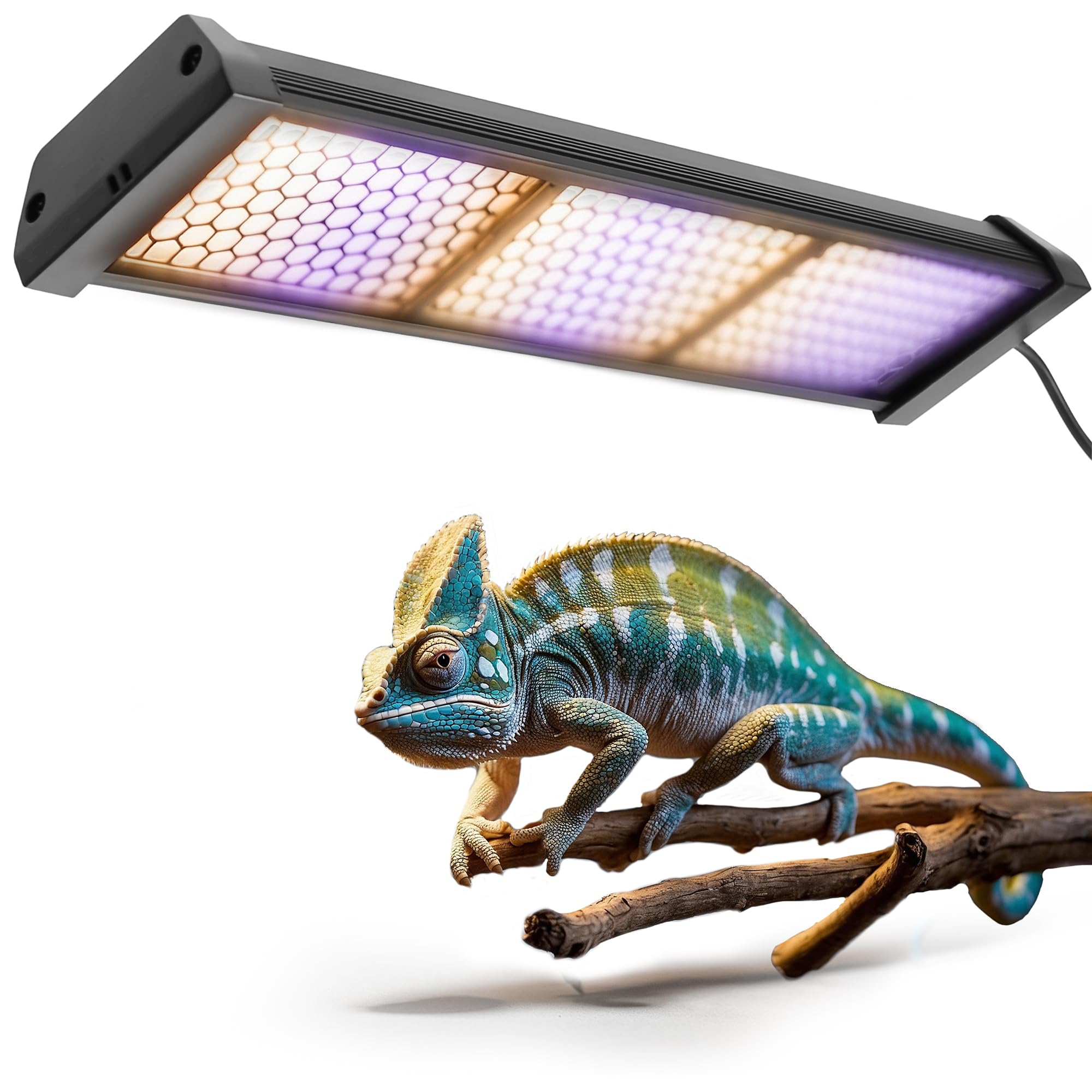 Eckpo Dimmable LED Reptile UVB lamp, overhead view, demonstrates UVB coverage for reptile health.