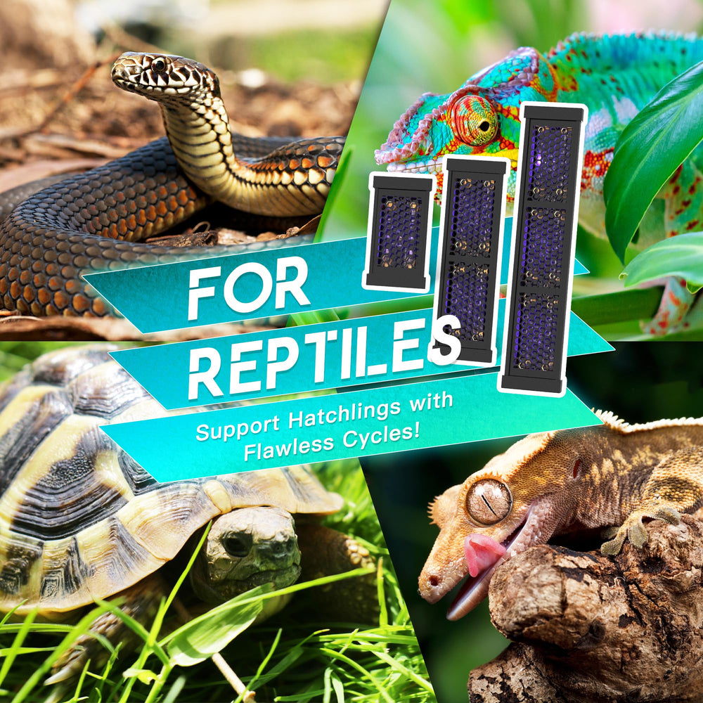Eckpo Dimmable LED Reptile UVB lamp, side profile highlighting compact form.