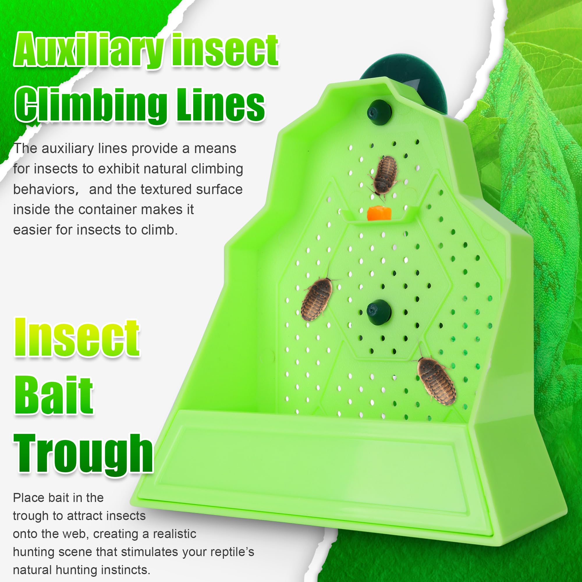 Eckpo anti-escape feeding bowl suction clip enabling flexible height adjustments in terrariums.
