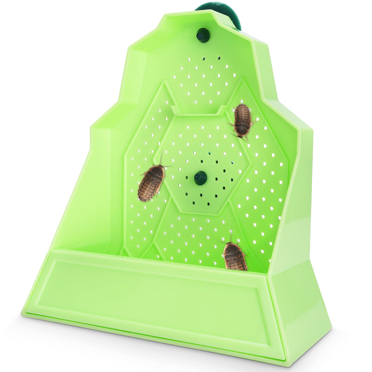 Eckpo reptile anti-escape feeding box mounted on a wall for secure feeding.