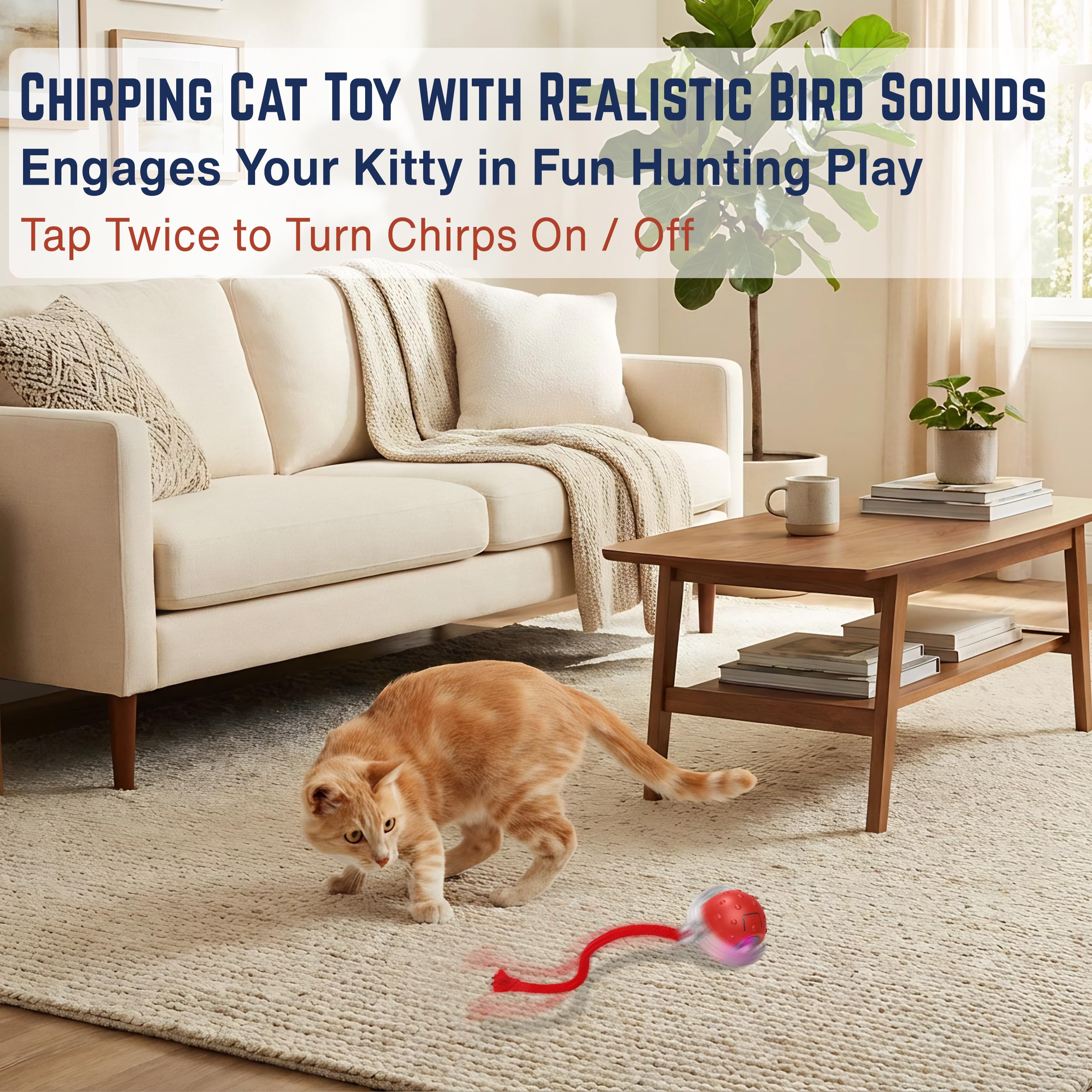 Ecliro Interactive Cat Toy Ball chasing action across surfaces.