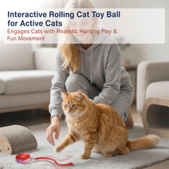 Ecliro Interactive Cat Toy Ball LED close-up highlighting night-time play.
