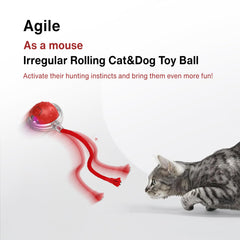Ecliro Interactive Cat Toy Ball tail accessories included for extended play.