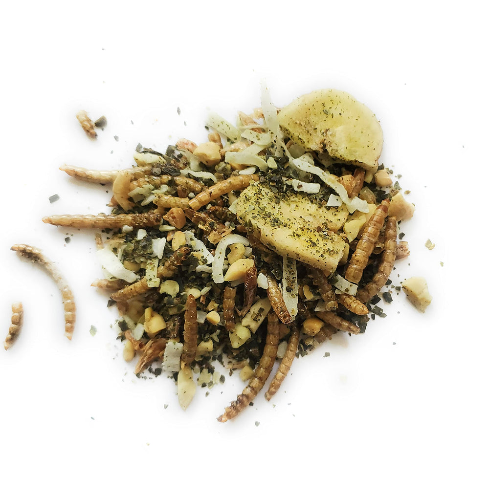 Eco Animal hermit crab food plate with wholesome mix supports balanced diet.