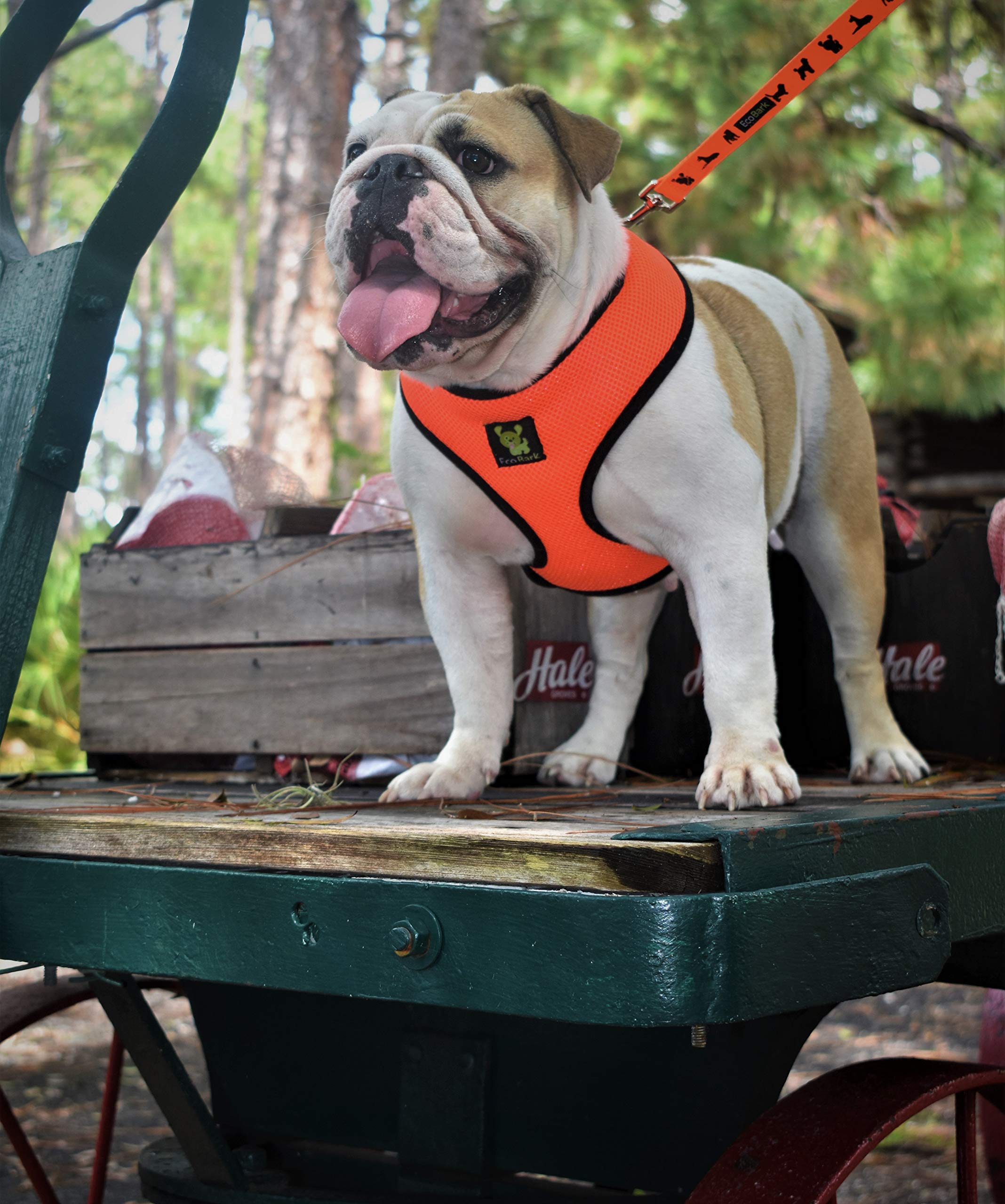 EcoBark designer patterns and colors to match your dog's personality