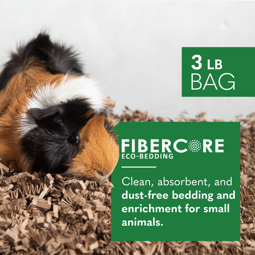 ECO BEDDING dust-free bedding illustrates clean, comfy nesting for small animals.