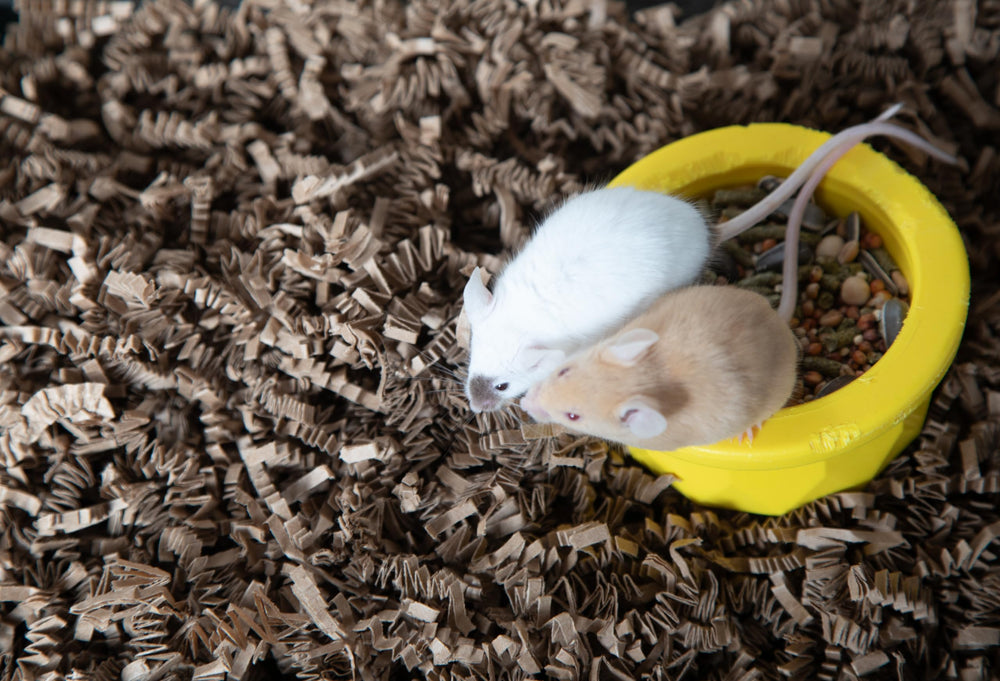 ECO BEDDING ideal nesting-burrowing uses for small rodents and birds.