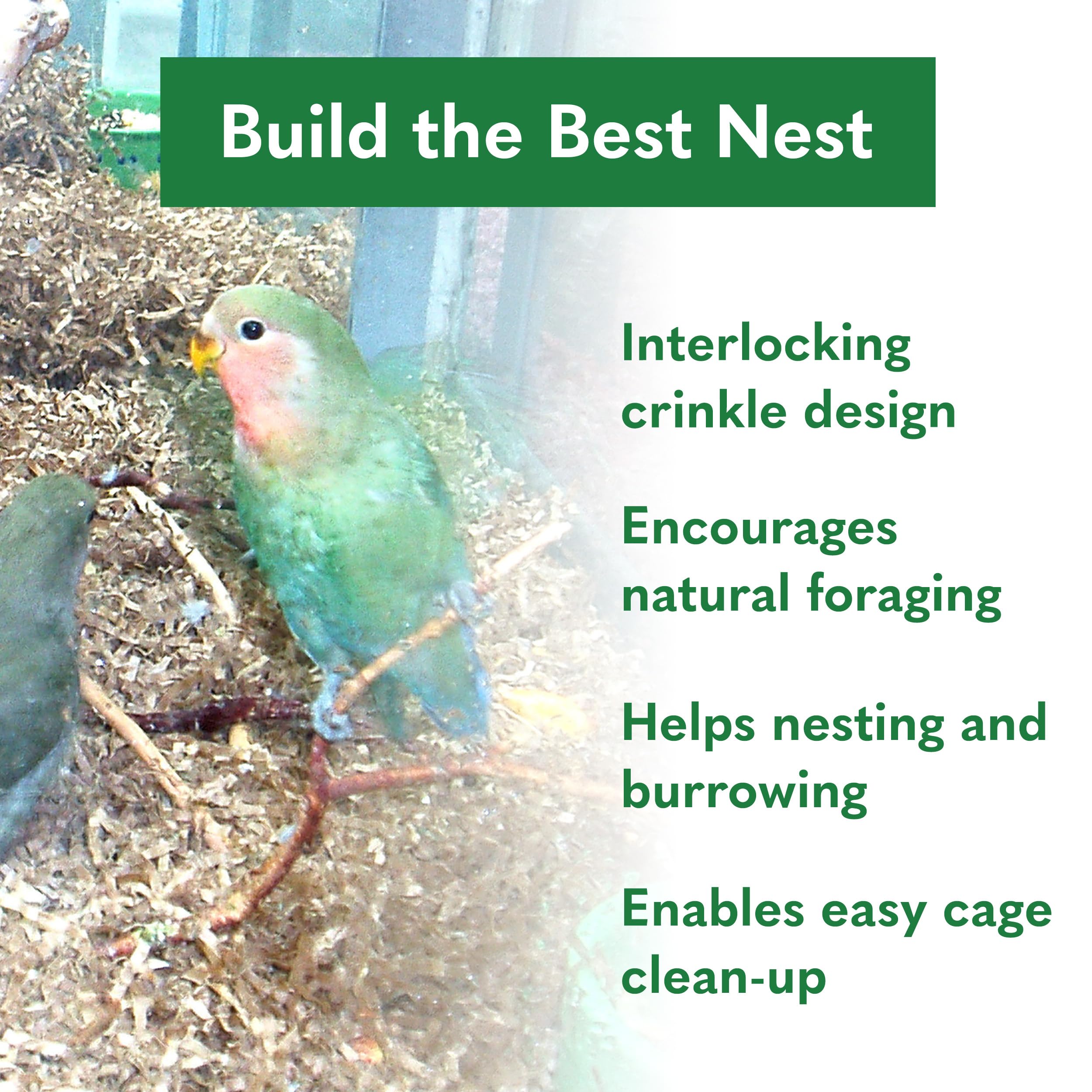 ECO BEDDING small pet approved packaging supports safe setup for guinea pigs.