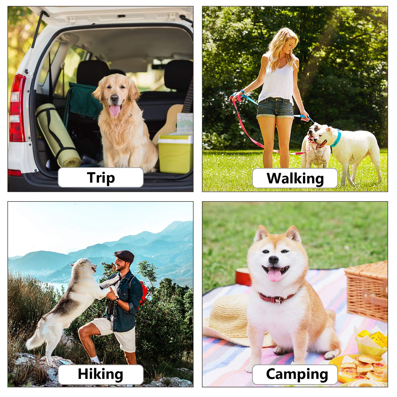 ECO-CLEAN bags in use during a dog walk show convenience and cleanliness.