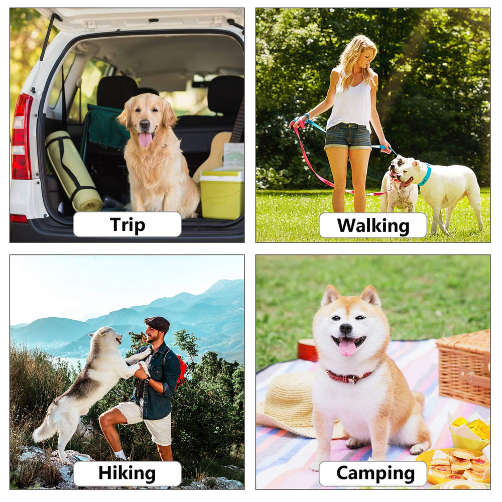 ECO-CLEAN bags in use during a dog walk show convenience and cleanliness.
